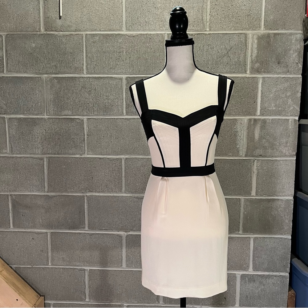 Rebecca Minkoff silk Bustier Sheath dress.